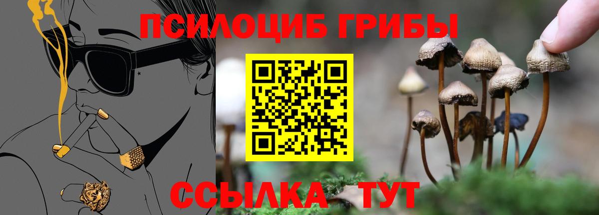 Галлюциногенные грибы Psilocybine cubensis  цены наркотик  Зеленодольск  Вход с VPN 